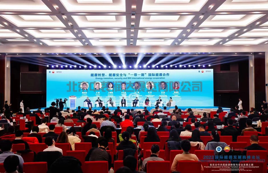 2023国际能源发展高峰论坛(图4)